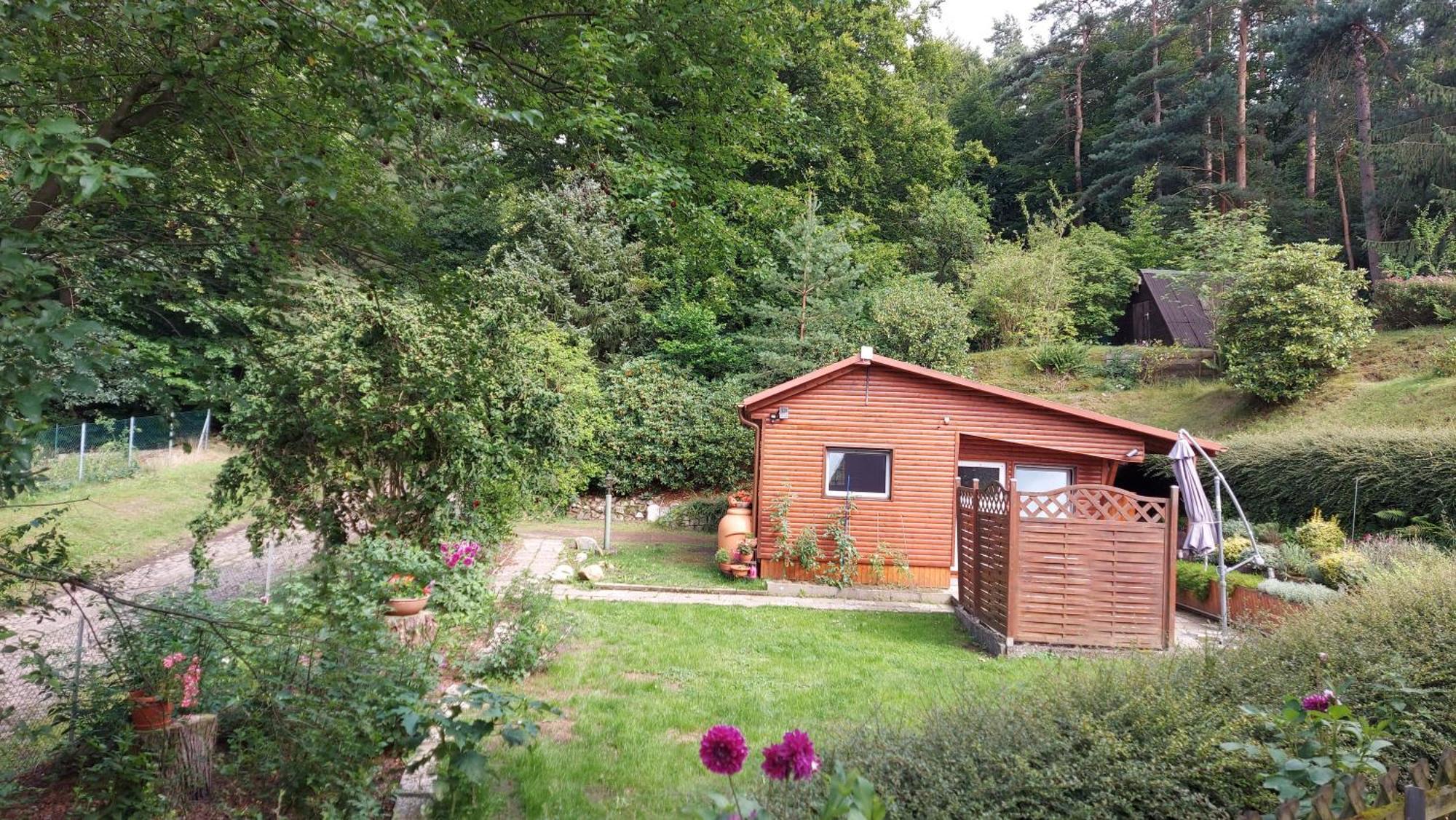 Ferienhaus In Geesthacht-Tesperhude Direkt Am Waldrand Экстерьер фото