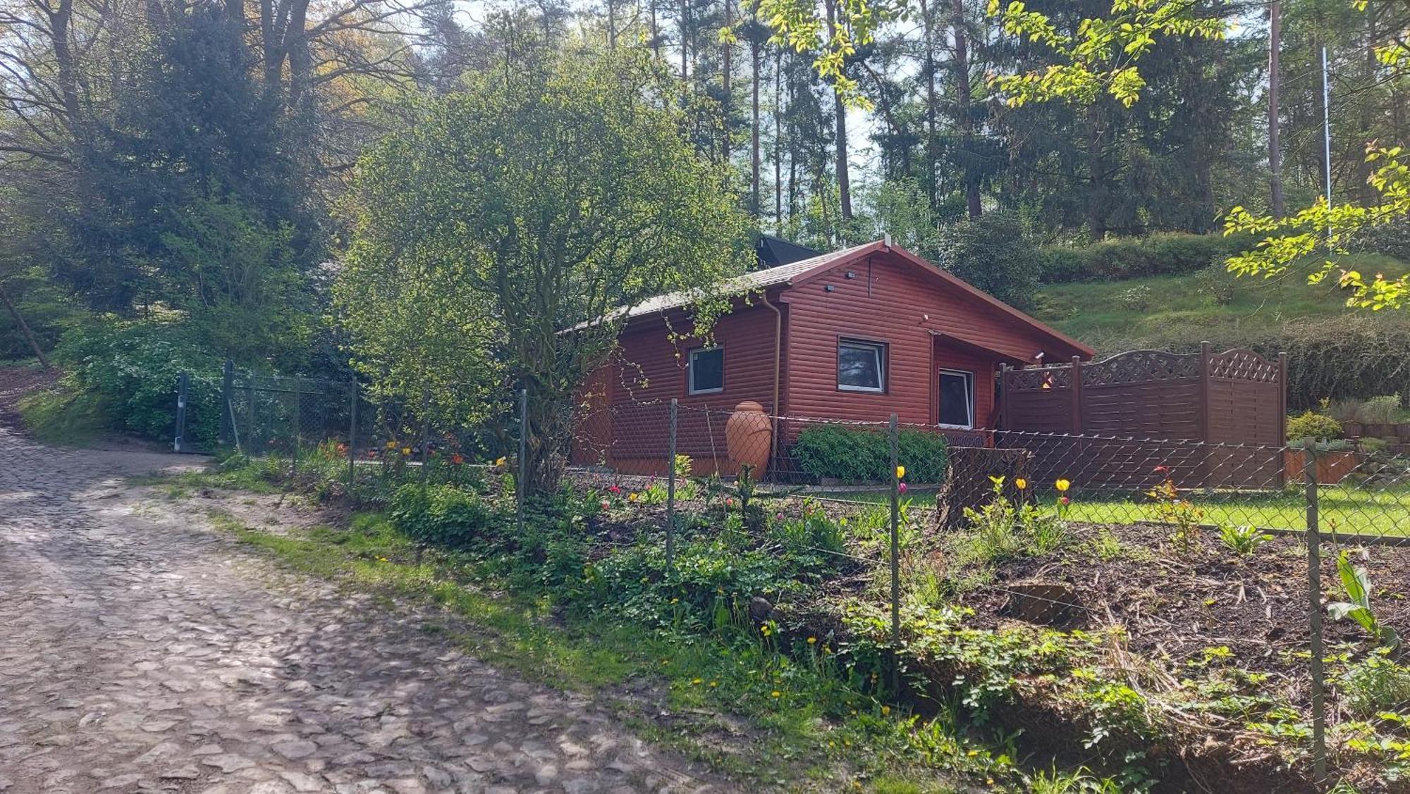 Ferienhaus In Geesthacht-Tesperhude Direkt Am Waldrand Экстерьер фото